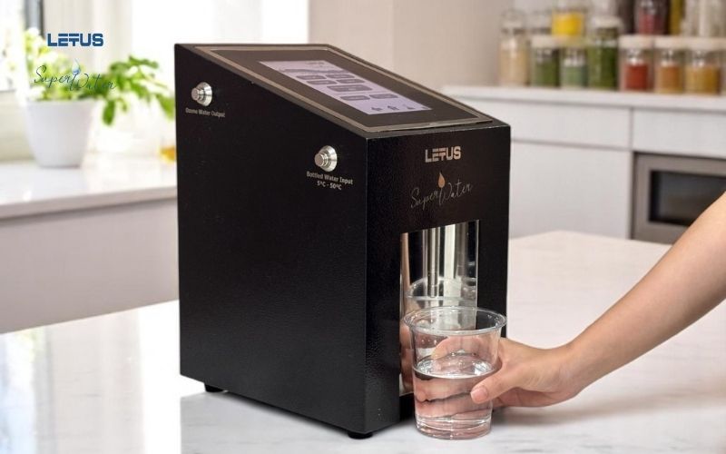 Scientific Evidence: Molecular Hydrogen Support for Cancer