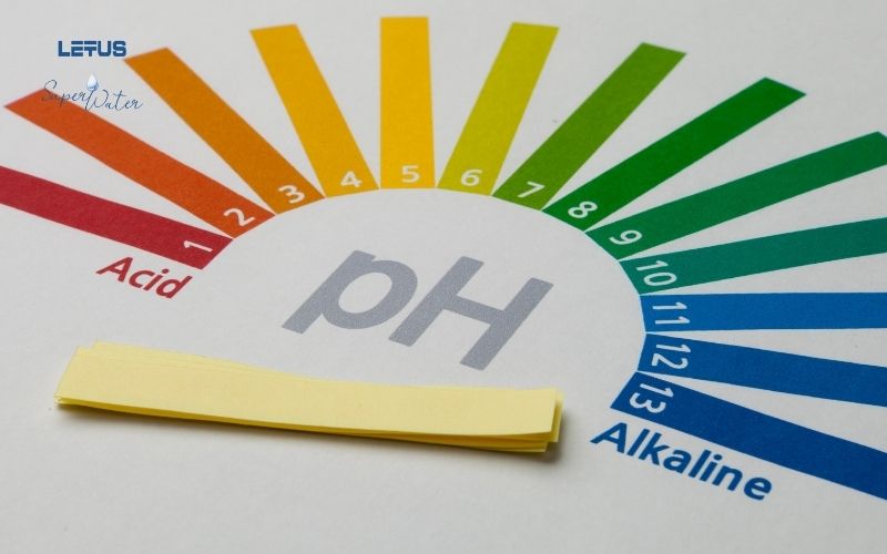 What is the Alkalinity Level of Letus SuperWater?