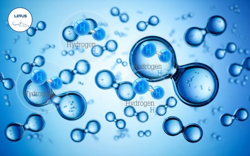 Letus SuperWater Supports Conditions Related to the Nervous System