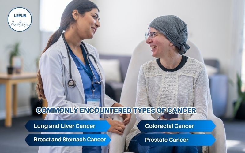 Understanding the causes of cancer and essential information is a solid foundation for prevention and supporting cancer improvement.